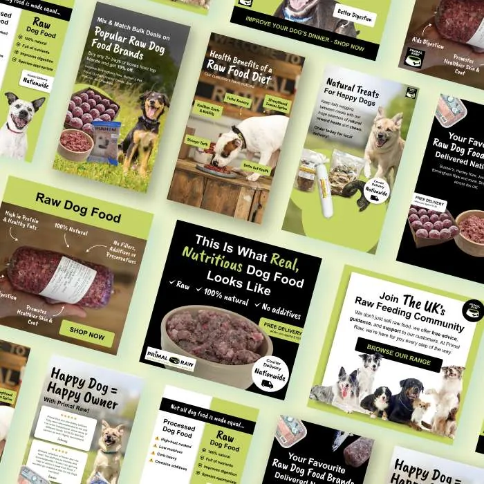 Primal Raw Google ads